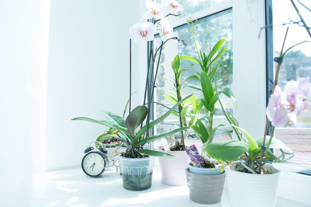 Apartment Provence Vilnius